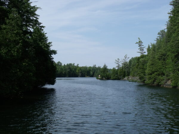CROISIÈRE CANAL RIDEAU (KINGSTON - OTTAWA) – Image 8